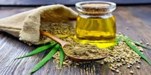 Glas med CBD-olie omgivet af hampefrø, hampepulver på en træske og friske hampeblade