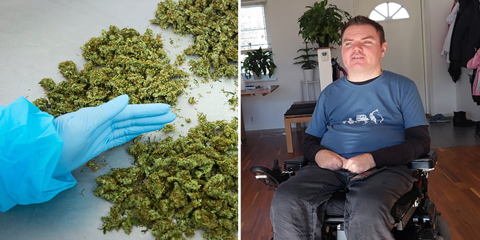 Delt billede med en handske-klædt hånd der holder hampeknopper og en mand i kørestol i sit hjem
