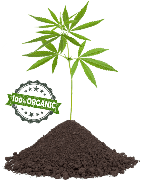Hampeplantegren med et grønt '100% Organic'-stempelbadge