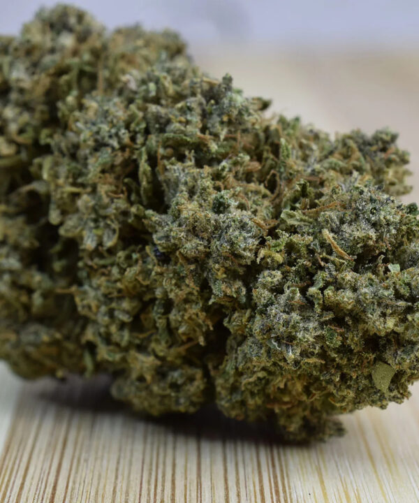 Nærbillede af Lemon Haze hampeknopper med sløret baggrund