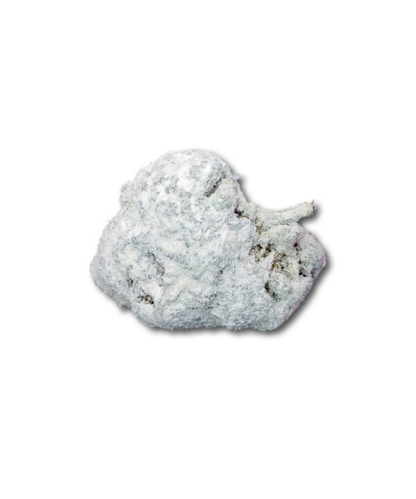 Hvid, pudderdækket White Ice Moonrock hampeknop på hvid baggrund
