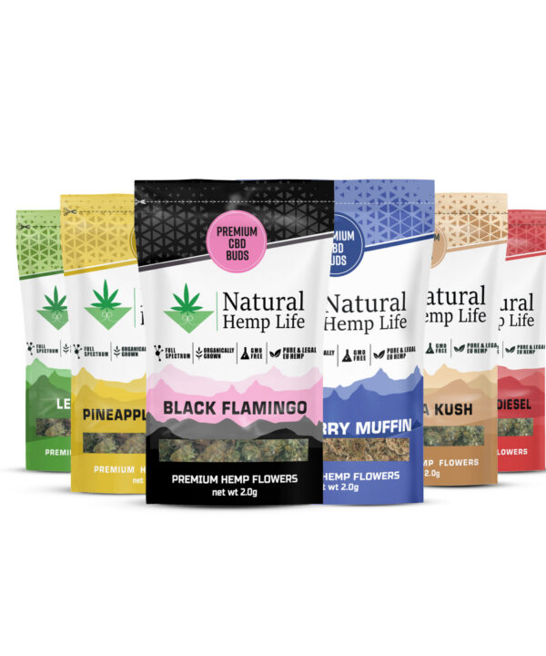 Flere farvekodede poser med Premium CBD Buds fra Natural Hemp Life stillet på række